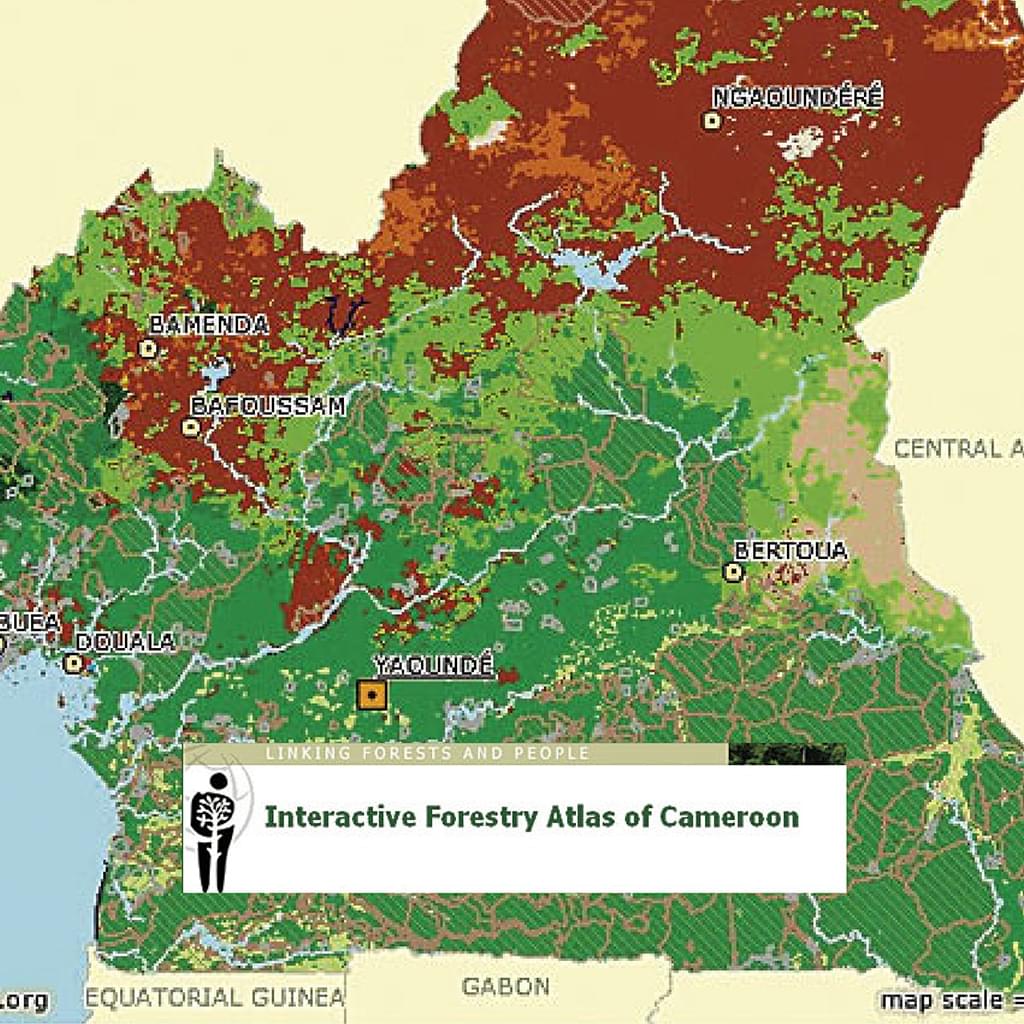 2004