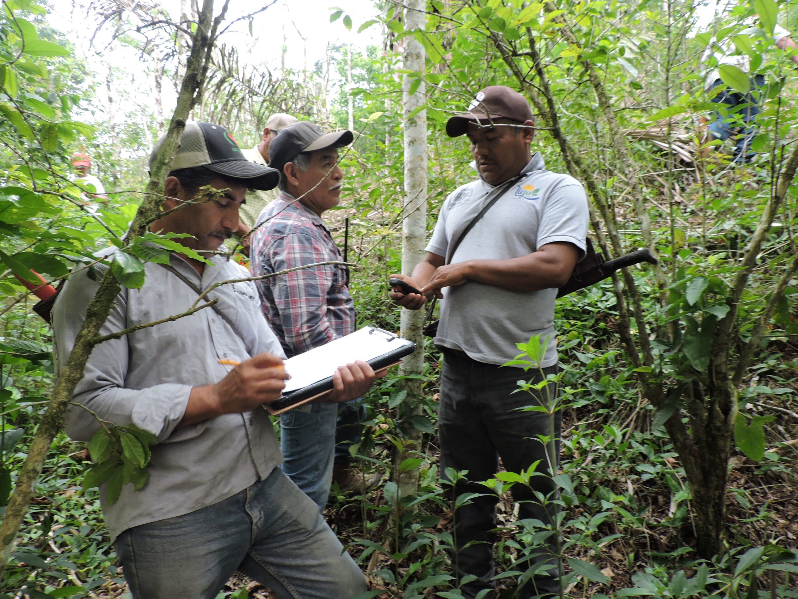 EcoLogic Development Fund