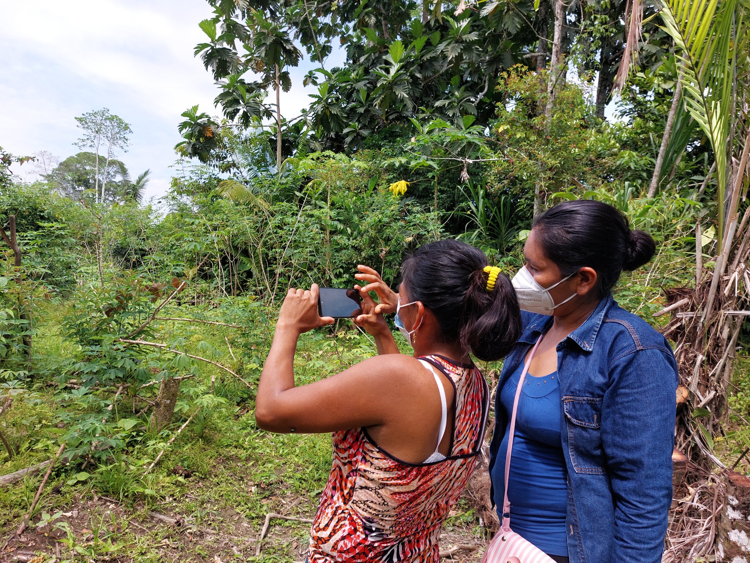 Rainforest Foundation US